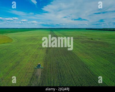 Un trattore erpita un campo verde. Vista aerea dell'aratura del trattore agricolo sul campo. Trattore che prepara in primavera il coltivatore a base di terreno Foto Stock