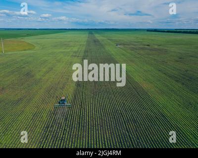 Un trattore erpita un campo verde. Vista aerea dell'aratura del trattore agricolo sul campo. Trattore che prepara in primavera il coltivatore a base di terreno Foto Stock