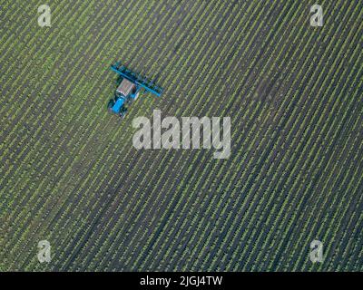 Un trattore erpita un campo verde. Vista aerea dell'aratura del trattore agricolo sul campo. Trattore che prepara in primavera il coltivatore a base di terreno Foto Stock