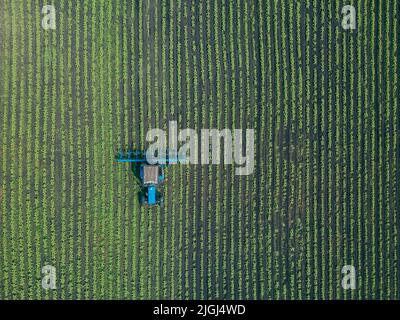 Un trattore erpita un campo verde. Vista aerea dell'aratura del trattore agricolo sul campo. Trattore che prepara in primavera il coltivatore a base di terreno Foto Stock