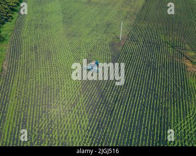 Un trattore erpita un campo verde. Vista aerea dell'aratura del trattore agricolo sul campo. Trattore che prepara in primavera il coltivatore a base di terreno Foto Stock