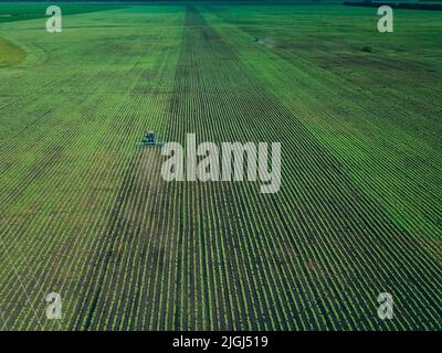 Un trattore erpita un campo verde. Vista aerea dell'aratura del trattore agricolo sul campo. Trattore che prepara in primavera il coltivatore a base di terreno Foto Stock