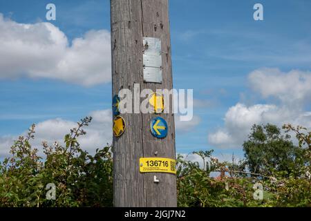 Indicatori roundel direzionali su palo in legno di elettricità che indicano vari diritti di strada sul Sentiero Suffolk Foto Stock