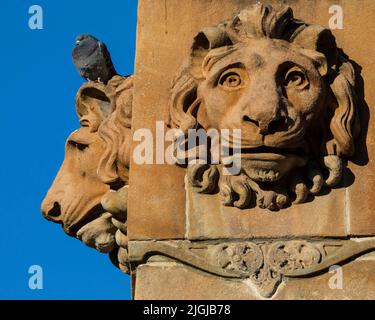 Primo piano delle sculture della testa del Leone alla base del Monumento Sir Walter Scott a George Square, nella città di Glasgow, Scozia, Regno Unito. Foto Stock