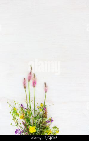 Sfondo bianco con fiori selvatici colorati, vuoto Foto Stock