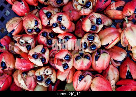 Giamaica, Ocho Rios, frutta ackee è venduto sul mercato. Ackee è la frutta nazionale utilizzata come ingrediente nel piatto nazionale di pesce salato. Lo ackee, anche k Foto Stock