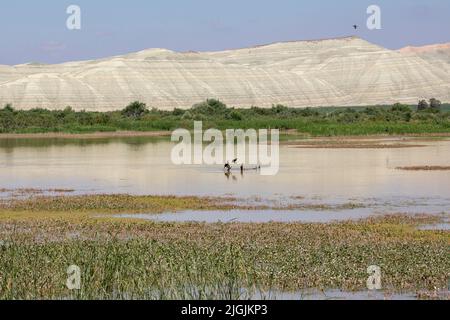 Nallihan Bird Sanctuary nel distretto di Ankara della Turchia. (Nallıhan Kuş Cenneti in turco) Foto Stock