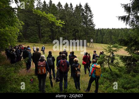 11 luglio 2022, Thuringia, Schmiedefeld am Rennsteig: Gli ospiti dell'evento visitano un prato di montagna al lancio ufficiale del grande progetto di conservazione della natura 'Treams, Mori e prati montani nella Foresta Turingia'. Il progetto è avviato dal Ministero federale dell'ambiente, dal Ministero dell'ambiente della Turingia, DAL BUND e dal Naturstiftung David. A causa dell'intervento umano, i flussi e le paludi possono svolgere le loro funzioni ecologiche solo in misura limitata. La mancanza di uso agricolo mette in pericolo il futuro di prati montani di valore. Ciò ha conseguenze negative per il Foto Stock