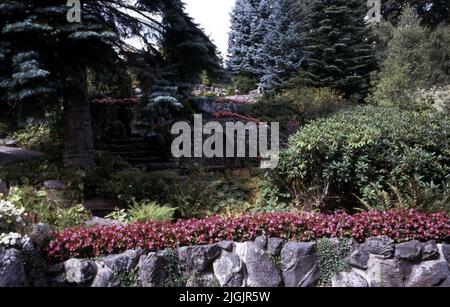 Fattoria dei fiori, Eringsboda. Foto Stock