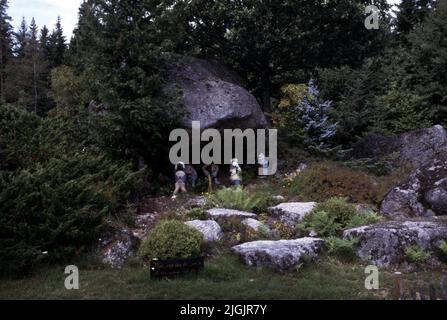 Fattoria dei fiori, Eringsboda. Foto Stock