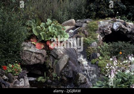 Fattoria dei fiori, Eringsboda. Foto Stock