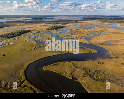 Veduta aerea delle paludi della Florida nord-orientale. Habitat naturale per pesci, uccelli, insetti e una varietà di specie acquatiche Foto Stock