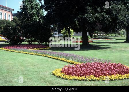 Sconti sui fiori a Tingshusparken, Ronneby. Foto Stock