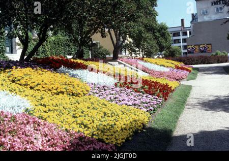 Sconti sui fiori a Tingshusparken, Ronneby. Foto Stock