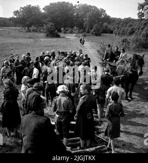 Scoutrörelse Olave Baden-Powell (1889-1977), vedova di Robert Baden-Powell, il fondatore del movimento Scout, ha visitato il campo dell'Associazione Scout Svedese delle ragazze a Tromtö nel 1954, arriva qui al campo. 3000 scout dall'Europa e alcuni scout provenivano da paesi al di fuori dell'Europa. Foto Stock