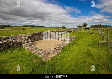 I resti di Turret 49B sul Muro di Adriano a Birdoswald, Northumberland, Inghilterra Foto Stock