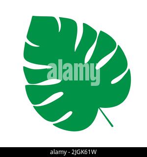 Illustrazione vettoriale a foglia tropicale su sfondo bianco Illustrazione Vettoriale