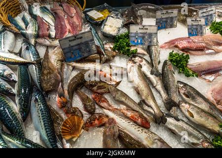 Pesce fresco – tra cui sgombro, trota arcobaleno e merluzzo – è esposto sul ghiaccio per la vendita nella sala del mercato di Avignone, Francia. Foto Stock
