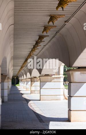 Valencia, Spagna. 3 aprile 2022 - fognature di teste di aquile sotto il ponte del regno, o Pont del Regne, in lingua valenciana, nel Turia gar Foto Stock