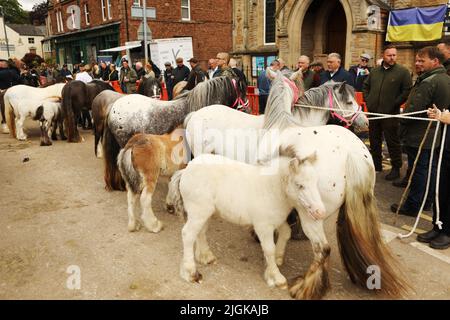 Mares e i loro nemici in fila, Appleby Horse Fair, Appleby a Westmorland, Cumbria Foto Stock