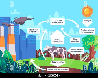 Processo del ciclo del carbonio illustrazione della decomposizione organica e animale in combustibile fossile diventano emissioni Illustrazione Vettoriale