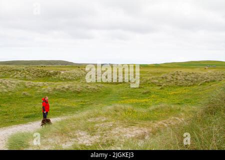 Uomo che cammina cane attraverso il machair su Berneray in Sound of Harris, Ebridi esterne, Scozia Foto Stock