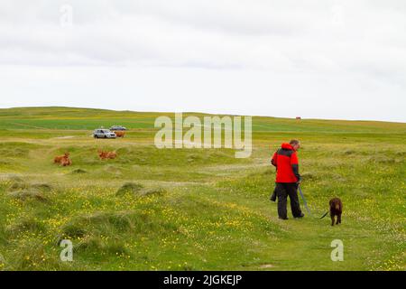 Uomo che cammina cane attraverso il machair su Berneray in Sound of Harris, Ebridi esterne, Scozia Foto Stock