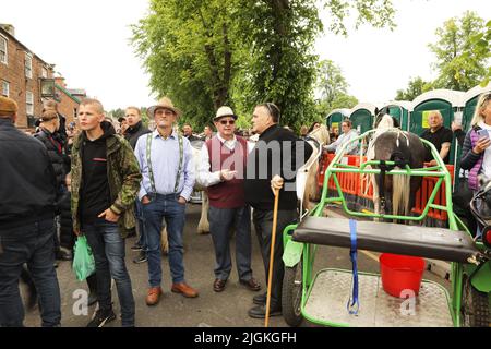 Uomini che si riuniscono nel centro della città con i loro cavalli, Appleby Horse Fair, Appleby a Westmorland, Cumbria Foto Stock