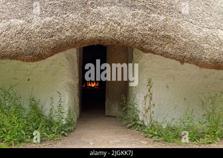 Bryn Eryr Iron Age Roundhouse. Vista di St Fagans. Luglio 2022. Estate. Un piccolo fuoco brucia all'interno. Foto Stock