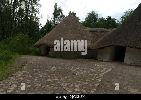 Bryn Eryr Iron Age Roundhouse. Il Villaggio Celtico. Case rotonde celtiche. Vista di St Fagans. Luglio 2022. Estate Foto Stock