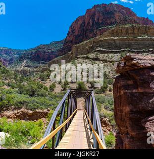 Ponte che attraversa Bright Angel Creek sul North Kaibab Trail, Grand Canyon National Park, Arizona, USA Foto Stock