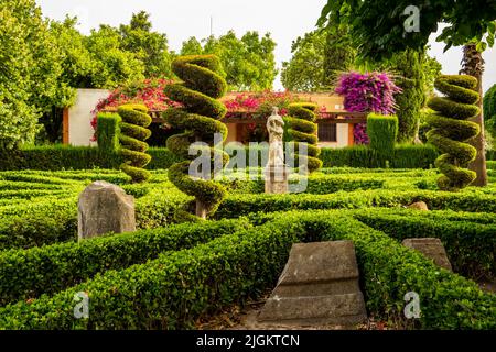 Vista sui giardini del Real del Viveros a Valencia, Andalusia Spagna Foto Stock