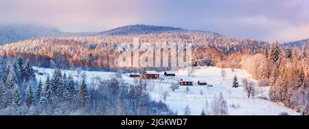 Paesaggio invernale nel villaggio di montagna Carpazi con alberi innevati, banner. Bellezza del concetto di campagna sfondo Foto Stock