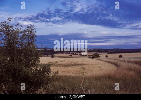 Tramonto a campi vicino alla Ridgeway , vicino a Crowmarsh Gifford, Wallingford Foto Stock