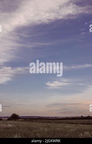 Tramonto a campi vicino alla Ridgeway , vicino a Crowmarsh Gifford, Wallingford Foto Stock