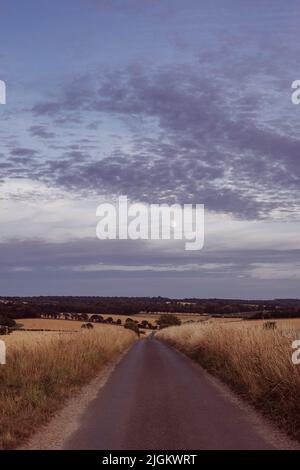 Tramonto a campi vicino alla Ridgeway , vicino a Crowmarsh Gifford, Wallingford Foto Stock