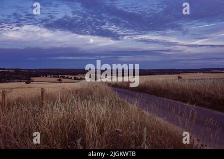 Tramonto a campi vicino alla Ridgeway , vicino a Crowmarsh Gifford, Wallingford Foto Stock