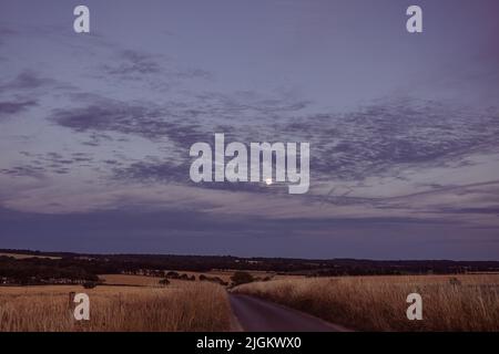 Tramonto a campi vicino alla Ridgeway , vicino a Crowmarsh Gifford, Wallingford Foto Stock