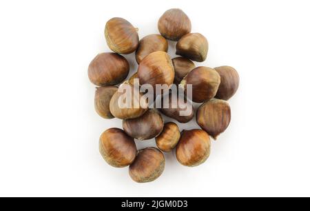 Mucchio di castagne marroni asciutte isolate su fondo bianco Foto Stock