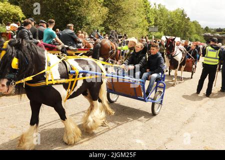 Un cavallo colorato che tira tre giovani uomini in una trappola. Appleby Horse Fair, Appleby a Westmorland, Cumbria, Inghilterra, Regno Unito Foto Stock