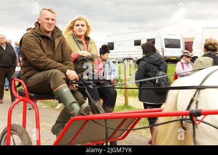 Un cavallo grigio che tira una coppia in una trappola, donna che porta una gabbia di uccelli. Appleby Horse Fair, Appleby a Westmorland, Cumbria, Inghilterra, Regno Unito Foto Stock