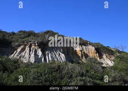 Faccia della scogliera di colore sabbioso chiaro, con cespugli verdi sopra e sotto, durante una giornata limpida Foto Stock