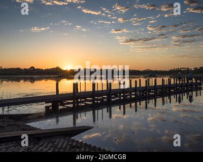 Alba su lilla d'acqua a Lily Creek Lagoon, tarda stagione secca, Kununurra, East Kimberley Foto Stock