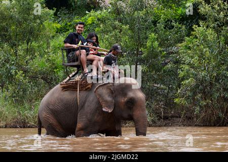 Un accampamento di elefante lungo il fiume MAE KOK vicino Chiang Rai - THAILANDIA Foto Stock