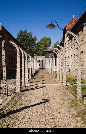 Recinzioni ed edifici in filo metallico nell'ex campo di concentramento nazista di Auschwitz i, Auschwitz, Polonia. Foto Stock