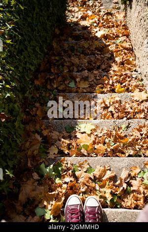 L'autunno lascia sulle scale di pietra, uomo in sneakers. Foto autunnali, colori brillanti. Foto verticale. Foto Stock