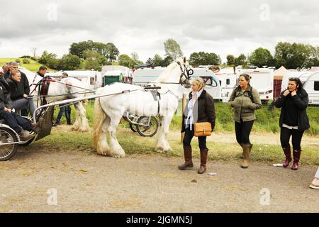 I viaggiatori che guidano un cavallo grigio e intrappolano vicino al campeggio. Appleby Horse Fair, Appleby a Westmorland, Cumbria, Inghilterra, Regno Unito Foto Stock