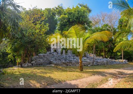 Rovine Maya di Playacar nel parco forestale di Playa del Carmen, Yucatan, Messico. Foto Stock