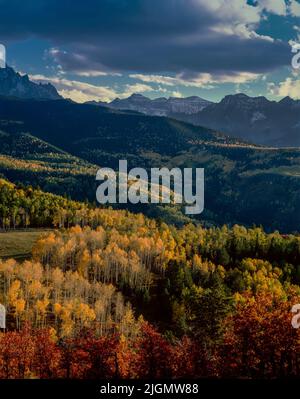 Autunno, Dallas divide, Uncompahgre National Forest, Ouray County, Colorado Foto Stock