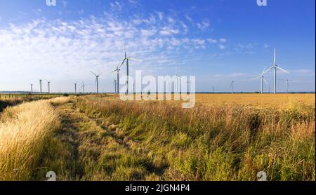 Little Cheyne Court Wind Farm sul Wallands Marsh tra Camber e Lydd sul confine orientale Sussex Kent Inghilterra sud-orientale Regno Unito Foto Stock